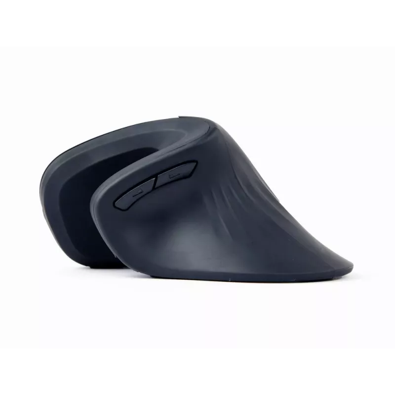 Gembird MUSW-ERGO-03 pelė Home Dešinei rankai RF Belaidė Optinė 1600 DPI