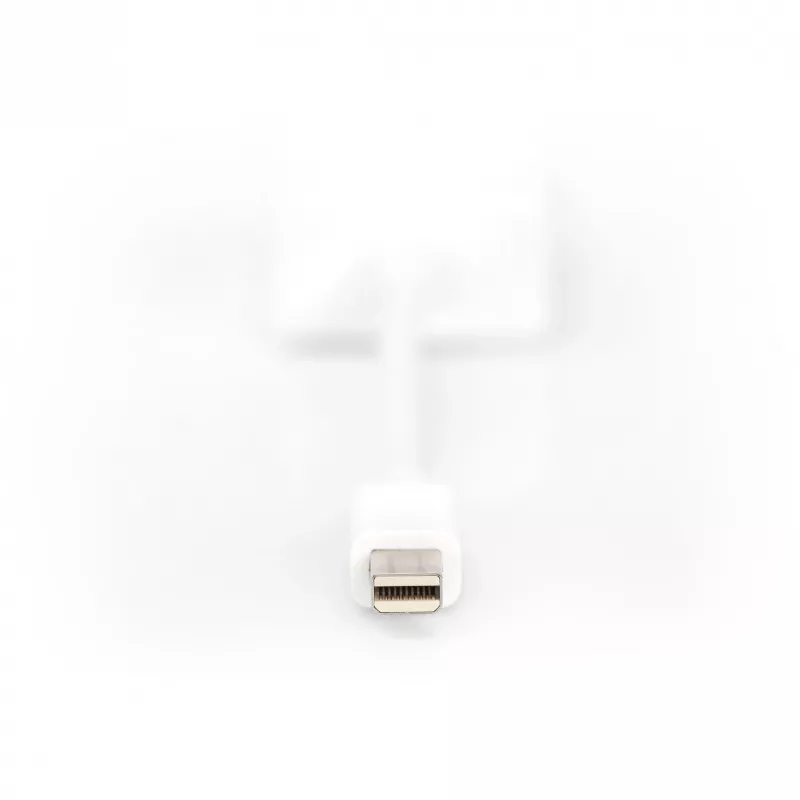 DisplayPort adapterio kabelis Digitus DB-340407-001-W
