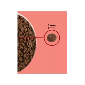 ACANA Highest Protein Indoor Cat – sausas ėdalas katėms – 4,5 kg