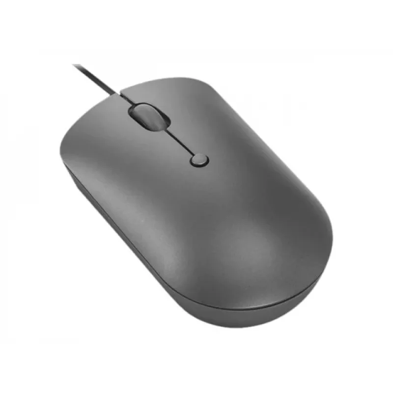 Lenovo 540 pelė Office Ambidextrous USB-C optinė
