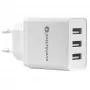 Everactive telefono įkroviklis 3x USB 3, 4A baltas