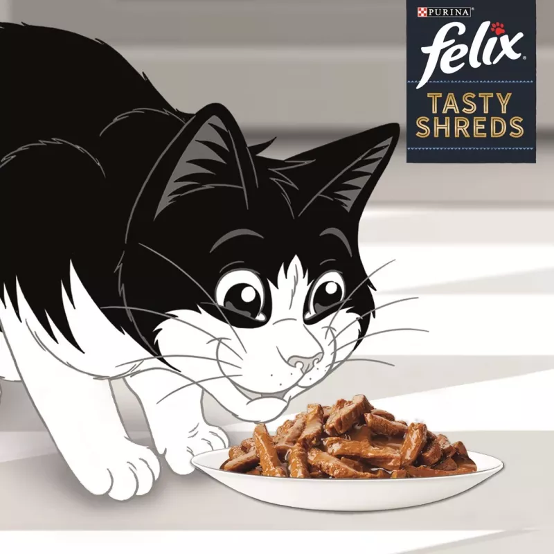 FELIX Tasty Shreds su lašiša ir tunu - 4x 80g