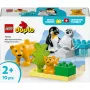 LEGO DUPLO 10442 Laukiniai gyvūnai: Pingvinai ir Liūtai
