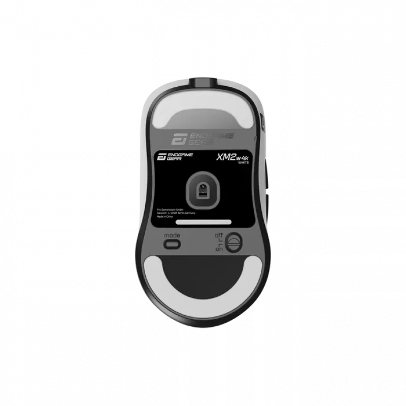 Pelytė Endgame Gear XM2w 4k Wireless