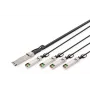 Laidas Direct Attach Digitus DN-81325 40G QSFP+ į 4xSFP+ 5m