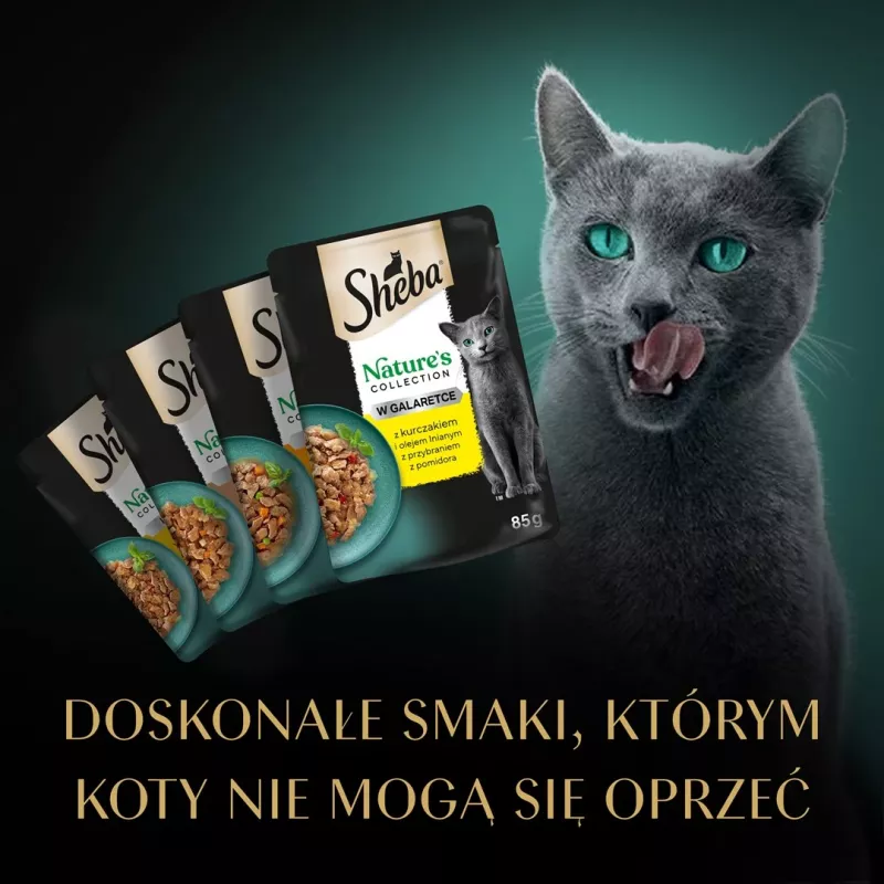SHEBA Nature's Collection Paukštienos skoniai drebučiuose – šlapias kačių ėdalas – 40 x 85 g
