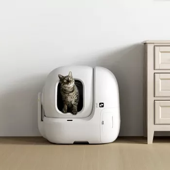 Atvira katės kraiko dėžė PETKIT Purobot Max Pro – balta, 657×538×603 mm, 12 V adapteris