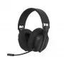 Belaidės ausinės White Shark WGH-2444 Firecrest Black
