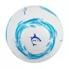 Futbolo kamuolys White Shark TB-001 Dribbler 32 skydų 5 dydis