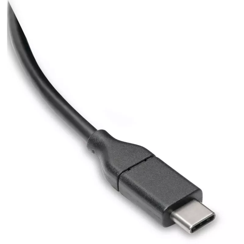 Eaton Tripp Lite Series USB-C laidas (M/M) - USB 2.0, 5A (100W), 1,83 m