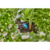 Gardena 13315-20 Sodo įrankis 15 L Juodas