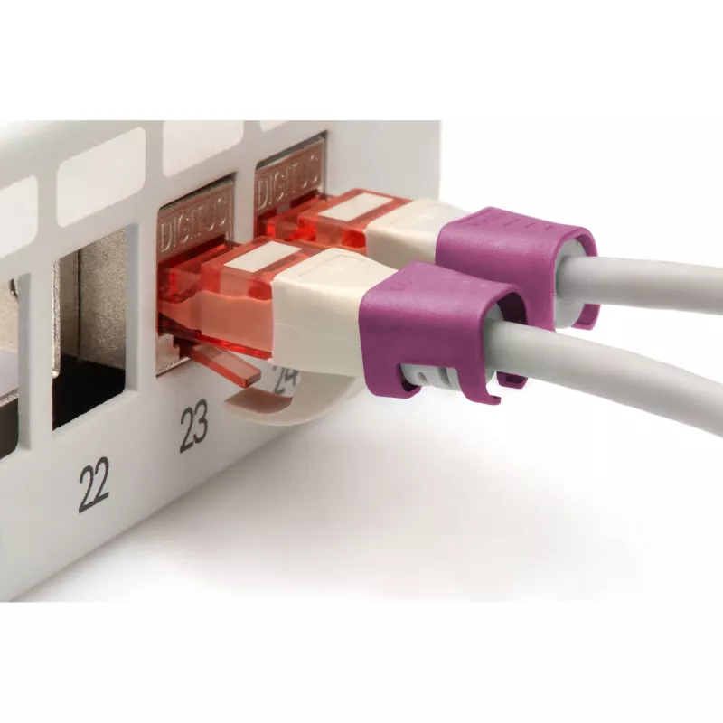 Ethernet pataisos laidas Digitus A-CC-MG, violetinis