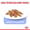 Šlapias kačių ėdalas Royal Canin Indoor Sterilized 85 g maišelis – suaugusioms sterilizuotoms katėms, paukštienos skonis, pakuotė 12 x 85 g