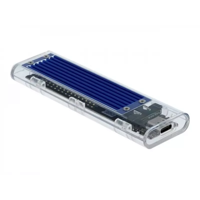 Išorinis dėklas SSD DELOCK 42620 M.2 NVMe PCIe su USB Type-C moterišku lizdu, skaidrus
