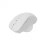 Sbox WM-549 White – belaidė pelė