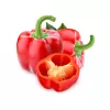 Sėklų pakelis Seklos LT Paprika Jolanta 0,5 g – saldžiųjų paprikų sėklos auginimui