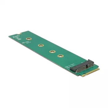 Vidinis M.2 adapteris DeLOCK 65831