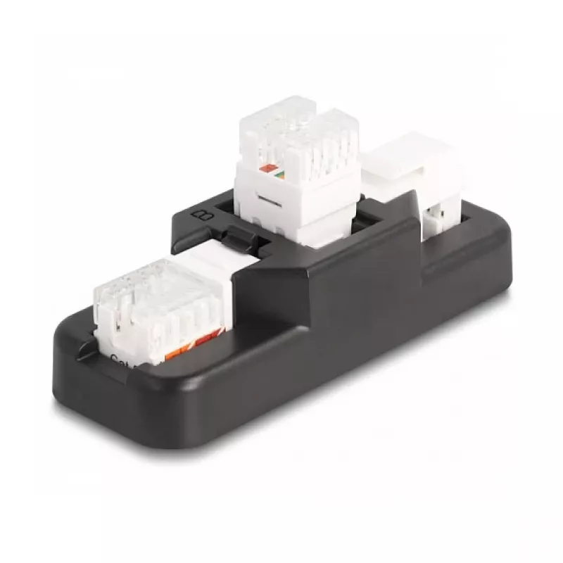 DeLOCK Keystone LSA rinkinys RJ45 RJ11 Cat.6 juodas užsegamas laikiklis