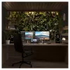 JAPANNEXT JN-IPS275K-HSPC9 16:9 HDMI/DP 5K plokščiasis monitorius