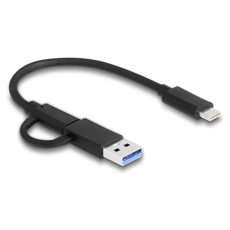 DeLOCK USB Type-C kortelių skaitytuvas CFexpress XQD aliuminis pilkas 10000 Mbit/s