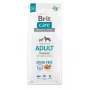 Brit Care Adult Salmon sausas pašaras šunims 12 kg