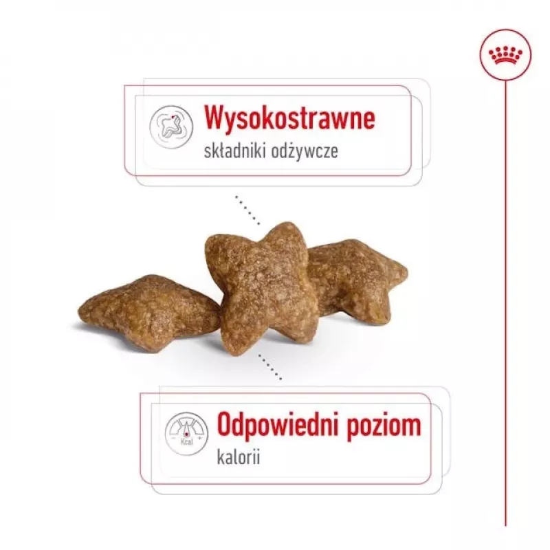 ROYAL CANIN Adult Mini S – sausas šunų ėdalas – 2 kg