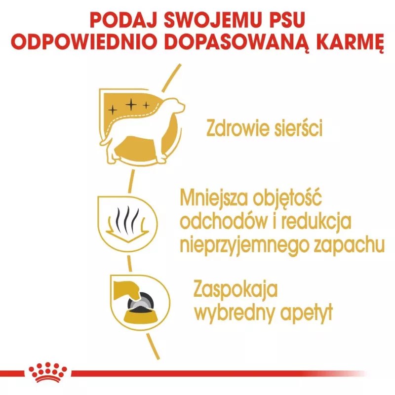 Sausas šunų ėdalas Royal Canin Maltese Adult 1,5 kg — vištiena, 24% baltymų, 18% riebalų