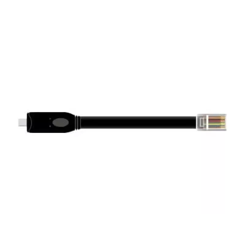 DeLock USB-C į RS-232 serijinis adapteris (63912)