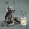 OLLO Pure Horse šlapias ėdalas šunims – 400 g
