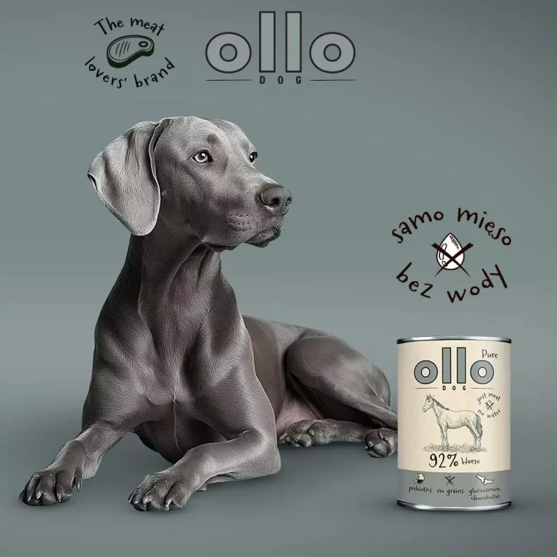 OLLO Pure Horse šlapias ėdalas šunims – 400 g