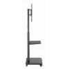 Gembird TVS-75S-02 TV grindinis stovas su ratukais, 37 - 75, juodas