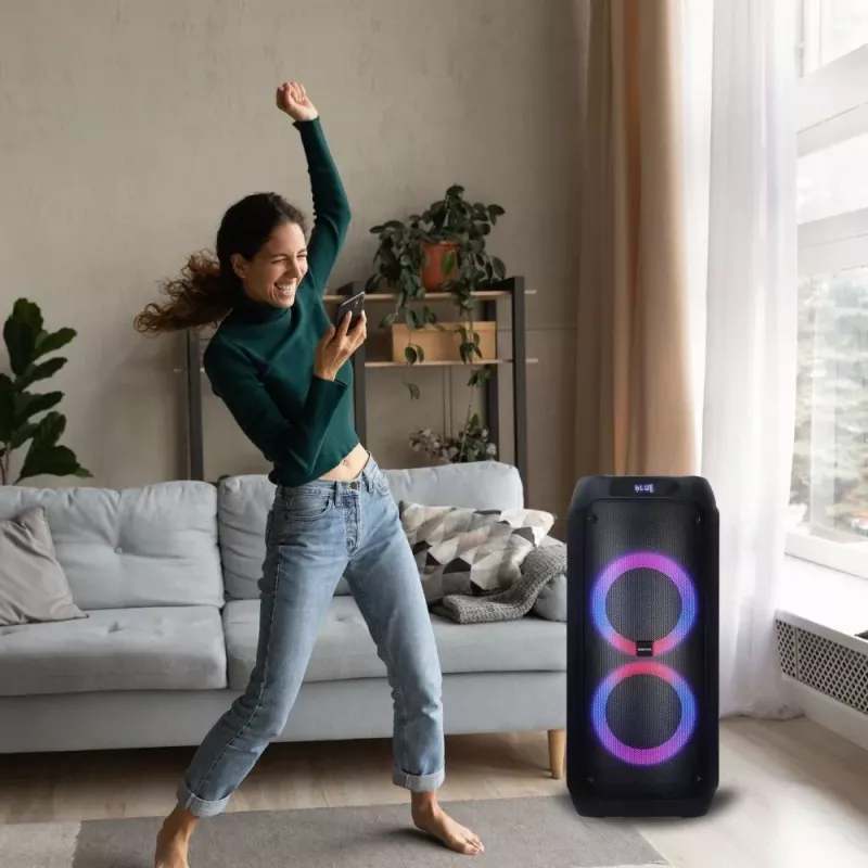 Nešiojamas garsiakalbis MANTA ATTIS SPK0802 120W, Bluetooth, laidinis įėjimas, įkraunamas, FM, LED lemputės