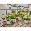 Laistymo sistema Gardena 13401-20 žarna 20 m