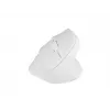 NATEC Crake 2 pelė Universal RF belaidė + Bluetooth optinė 2400 DPI