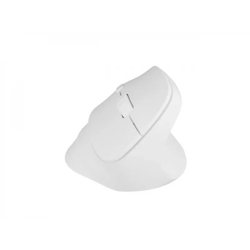 NATEC Crake 2 pelė Universal RF belaidė + Bluetooth optinė 2400 DPI