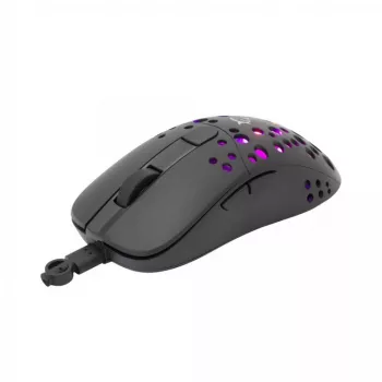 Pelytė White Shark TRISTAN USB Type-A
