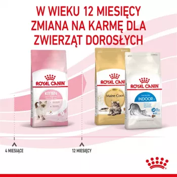Sausas kačių ėdalas Royal Canin Kitten 4 kg Paukštiena