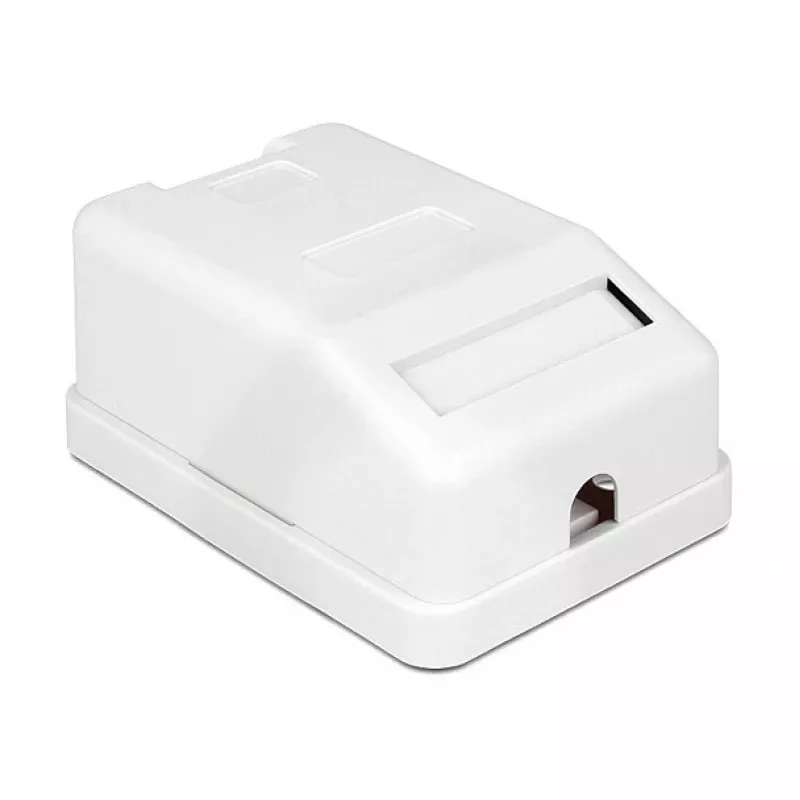 Kištukinė dėžutė DeLOCK 86235 balta 65 mm x 47 mm x 29 mm