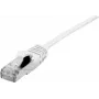 Tinklo kabelis Dexlan 858742 0,3 m Cat6a S/FTP RJ-45