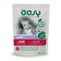 Oasy gabaliukai padaže suaugusiems ĖRIENA 85g