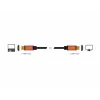 HDMI kabelis DeLOCK 85729 2 m HDMI Type A Standartinis juodas auksinis