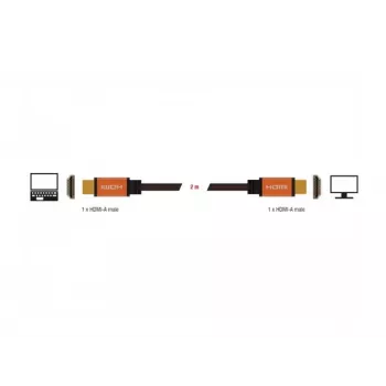 HDMI kabelis DeLOCK 85729 2 m HDMI Type A Standartinis juodas auksinis