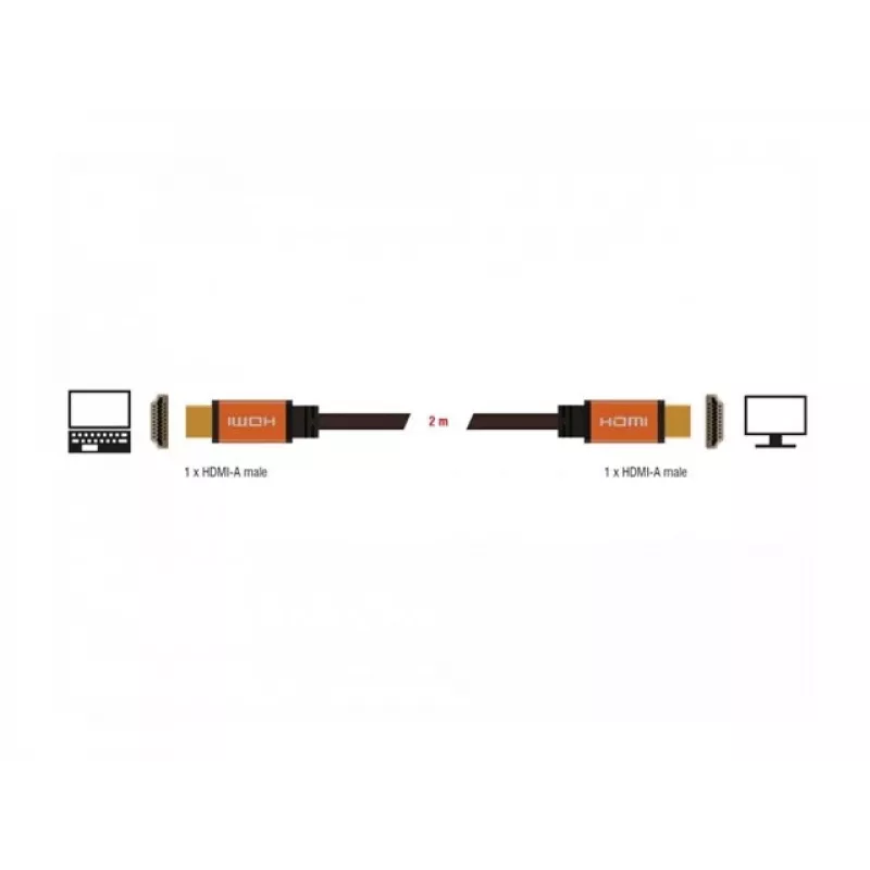 HDMI kabelis DeLOCK 85729 2 m HDMI Type A Standartinis juodas auksinis