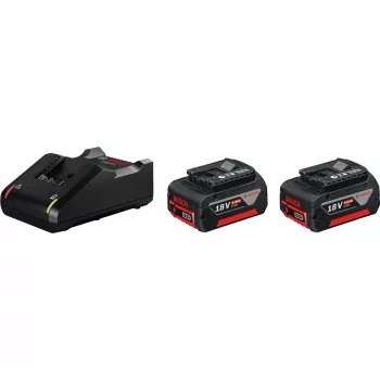 Bosch 1 600 A01 9S0 baterijos ir įkroviklio rinkinys