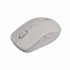 Canyon pelė MW-12 Dual belaidė smėlio spalvos - 2400 dpi (CNS-CMSW12BG)