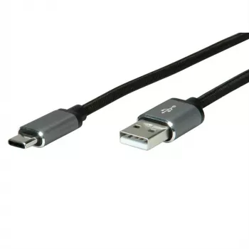 USB laidas ROLINE 11029029 USB 2.0 3m USB A USB C juodas sidabrinis