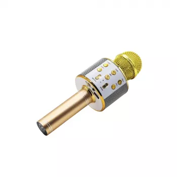 Mikrofonas MANTA MIC10-G Gold kardioidinis nešiojamas