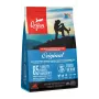 ORIJEN Dog Original sausas šunų ėdalas - 2kg