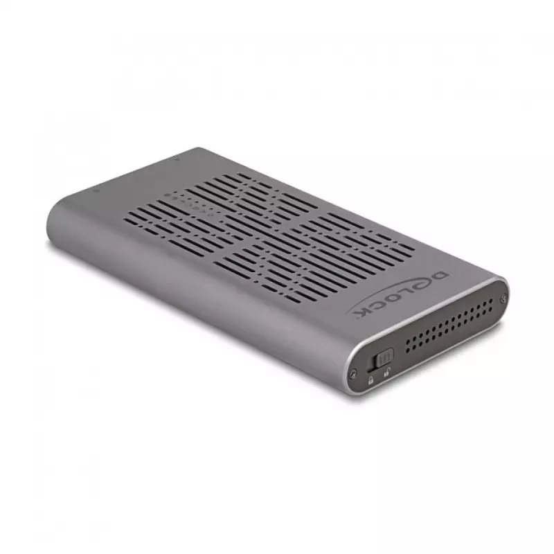 DeLOCK 42027 pilkas M.2 NVMe SSD korpusas su USB Type-C 10 Gbit/s