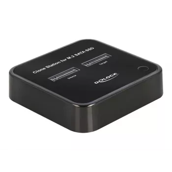 DeLOCK 64178 Docking stotelė USB 3.2 Gen 2 Type-C dviems M.2 SATA SSD